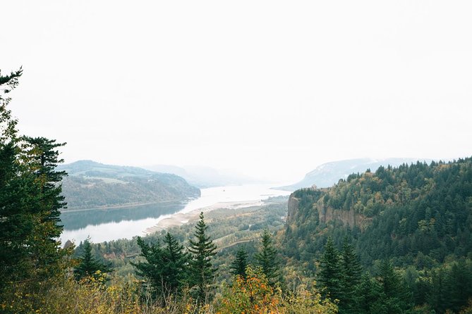 Afternoon Half-Day Multnomah Falls and Columbia River Gorge Waterfalls Tour from Portland - Afternoon timing: why this half-day Gorge route hits right
