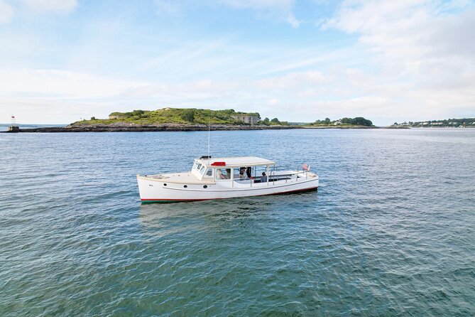 Afternoon Lighthouse Cruise Along the Coast of Portland Maine - Wildlife watch: seals and seabirds, plus tips for spotting them