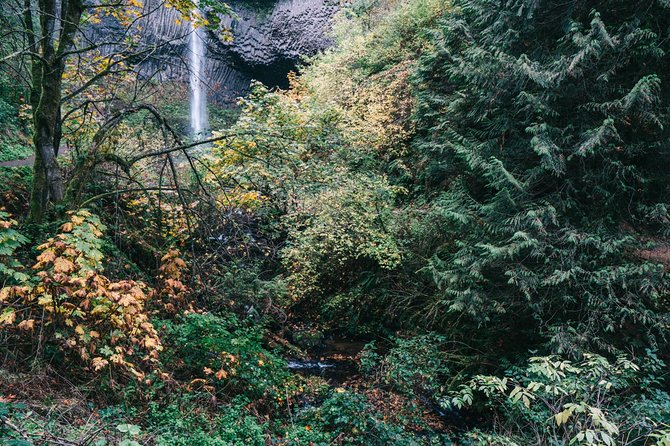 Afternoon Multnomah Falls and Gorge Waterfalls Tour - Multnomah Falls: Oregon’s top attraction with lodge comforts