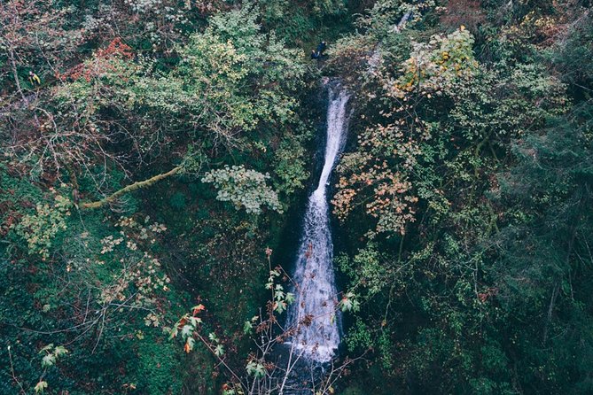 Afternoon Multnomah Falls and Gorge Waterfalls Tour - The Gorge story your guide brings along the route