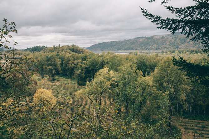 Afternoon Multnomah Falls and Gorge Waterfalls Tour - Transport, private group, and value: is $85 worth it?