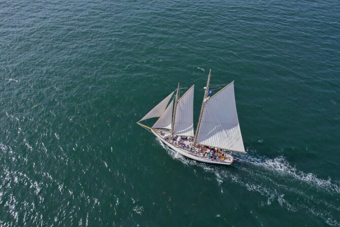 Afternoon Windjammer Cruise Along the Coast of Portland Maine - Crew Vibes and Group Size: Friendly, Professional, and Not Overbearing