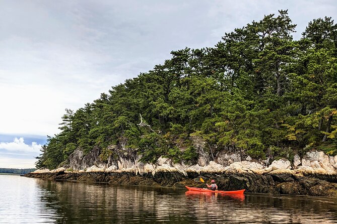 Casco Bay Half-Day Sea Kayak Tour - Your Launch Morning: Meet at East End Beach and Get Fitted