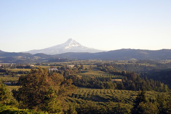 Columbia River Gorge Waterfalls & Mt Hood Tour from Portland, OR - Multnomah Falls Historic Lodge and the Benson Bridge View