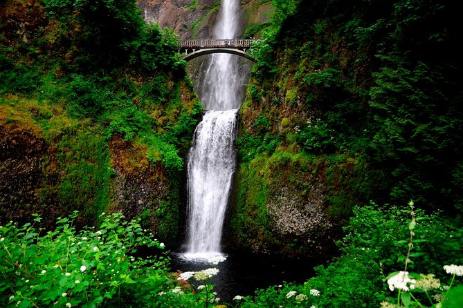 Columbia River Gorge Waterfalls & Mt Hood Tour from Portland, OR - Into Fruit Orchards, Lavender Farms, and Mount Hood National Forest