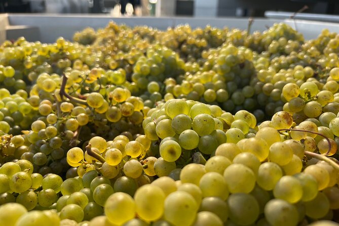 Custom Willamette Valley Wine Tours from The Allison Inn and Spa - Key things I’d put on your radar