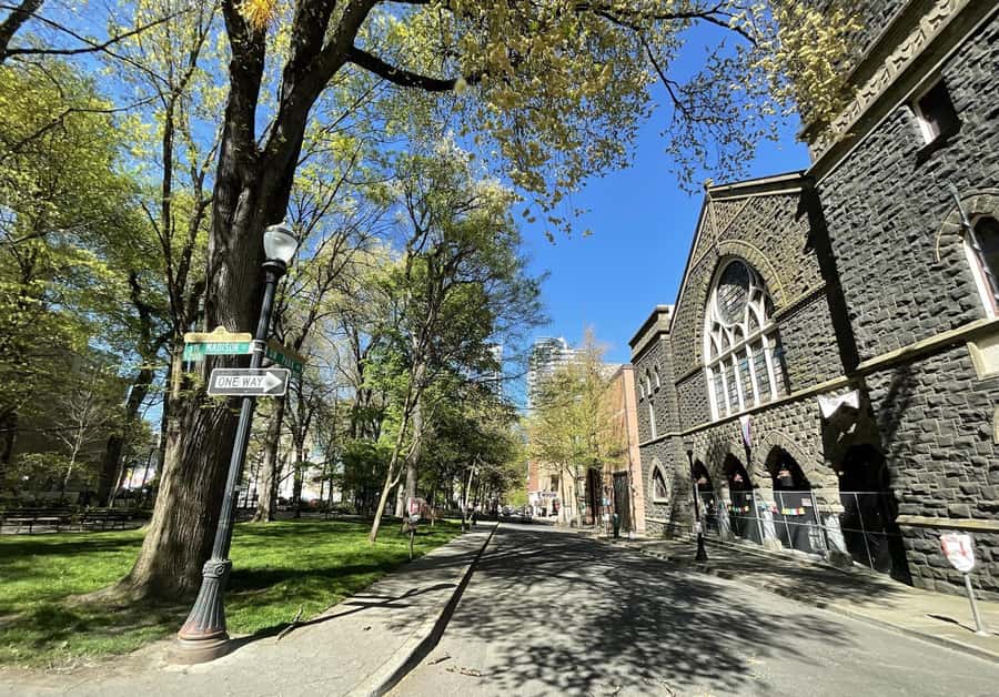 Discover Portland: Guided Sightseeing Tour (Most popular!) - The Pearl District stop: boutique browsing plus a food-and-coffee vibe