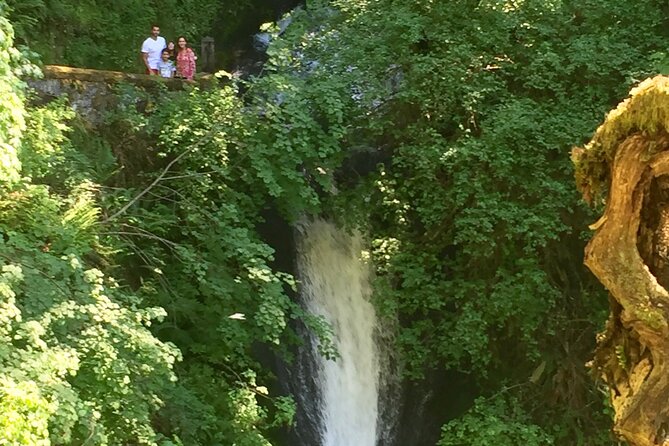 Explore Columbia River Gorge Half-Day Small-Group Hiking Tour - Multnomah Falls: the classic stop and why it’s scheduled