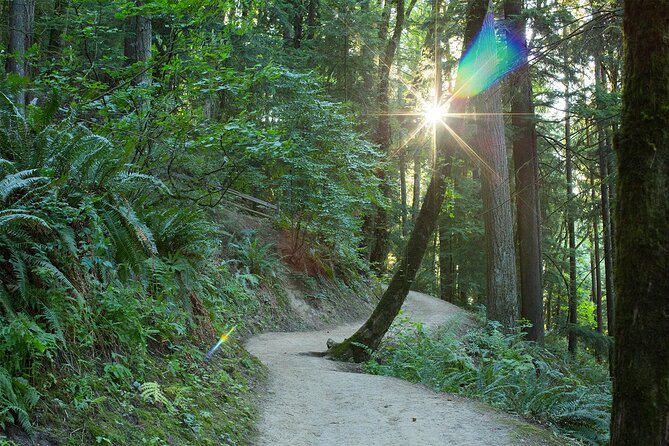 Forest Park Hiking Tour to Pittock Mansion - Daniel G.’s Small-Group Style: What Actually Improves Your Day