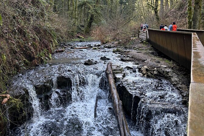 Forest Park Hiking Tour to Pittock Mansion - Wildwood Trail Time: Long-Route Energy Without the Full Commitment