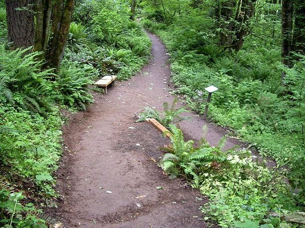 Forest Park Urban Hiking Tour, Portland - Wildwood Trail climb: your short hike that still works