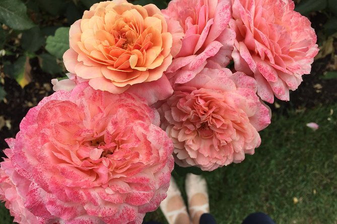 Forest Park Urban Hiking Tour, Portland - Japanese Garden and the Rose Test Garden: season planning you can trust
