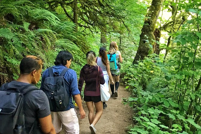 Forest Park Urban Hiking Tour, Portland - Price and logistics: what $59 buys you (and what it doesn’t)