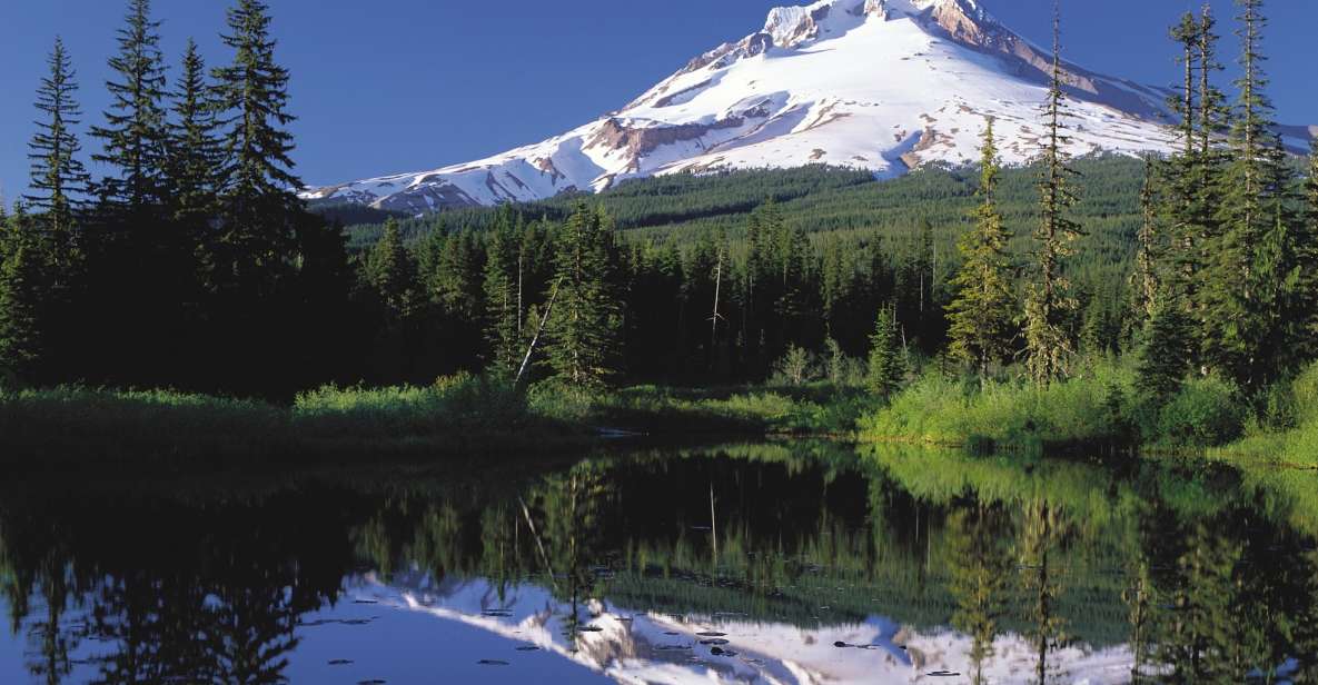 From Portland: Columbia Gorge Waterfalls and Mt. Hood Tour - Key highlights worth planning for