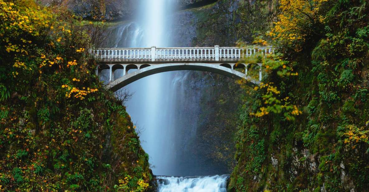 From Portland: Columbia Gorge Waterfalls Tour - Latourell Falls: columnar basalt and a short guided walk