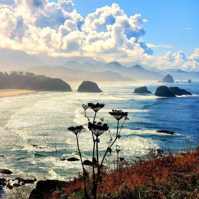 From Portland: Oregon Coast Adventure Day Tour with Pickup - Ecola State Park and the Clatsop Loop Trail: Lewis and Clark’s Viewline