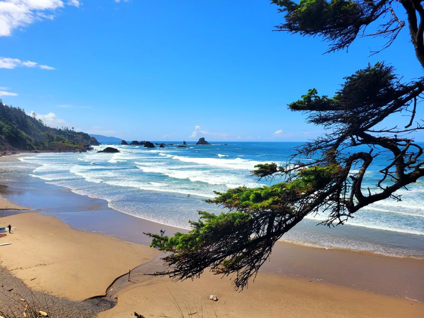 From Portland: Oregon Coast Adventure Day Tour with Pickup - Rain or Shine: What You’ll Walk, How Much, and What to Pack