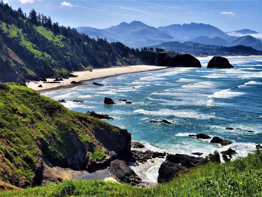From Portland: Oregon Coast Adventure Day Tour with Pickup - Chasing Roosevelt Elk and Marine Life Along the Oregon Coast