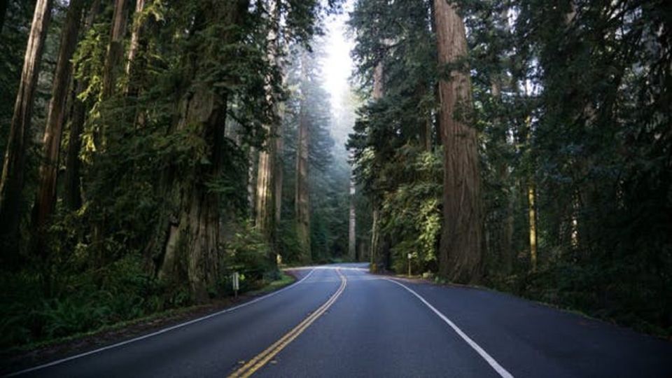 From Portland: Oregon Coast Tour - Start in Portland, Then Ride the Sunset Highway Through the Cascades