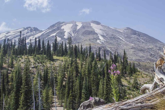 From Portland to Mt. Saint Helen Tour in a small group - Key highlights to know before you go