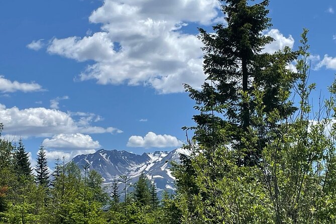 From Portland to Mt. Saint Helen Tour in a small group - Stop 3: Coldwater Lake side trip—quiet water plus a wristband reminder