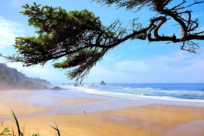 Full-Day Guided Oregon Coast Tour from Portland - Ecola State Park: Ocean Views, Basalt Islands, and Wildlife Lore