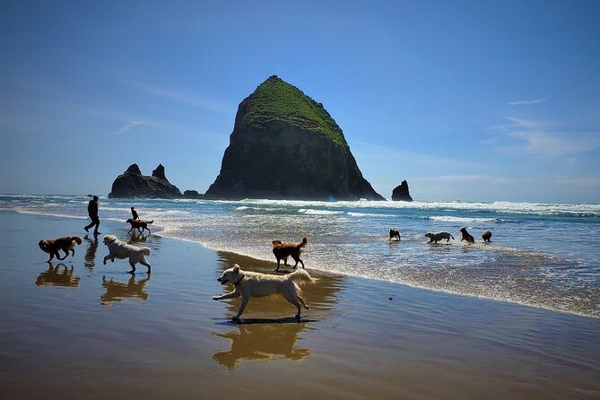 Full-Day Guided Oregon Coast Tour from Portland - Cannon Beach: Town Time, Lunch Options, and Haystack-Land Energy