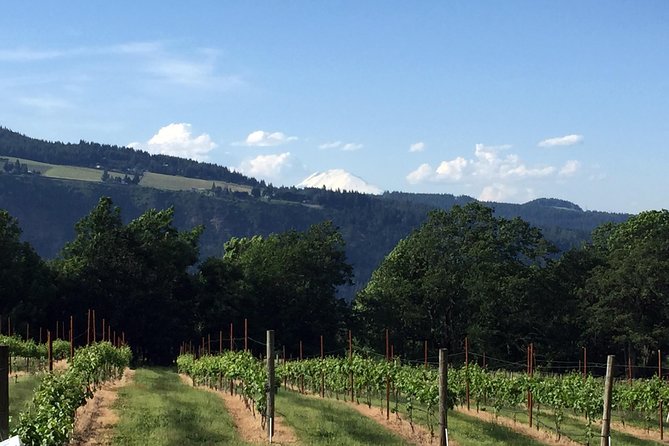 Full-Day Mt Hood Waterfall Tour with Lunch and Wine Included - Mt Hood and Timberline Lodge: the top-of-the-world stop