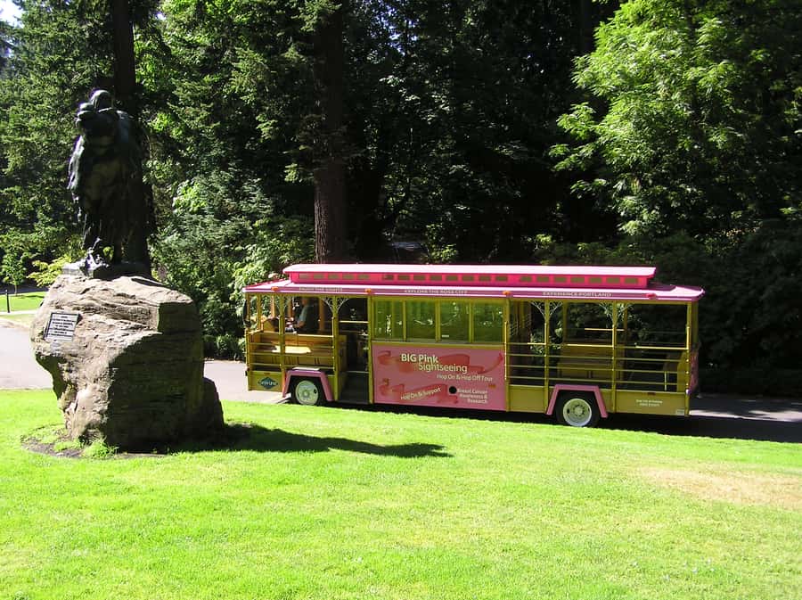 Gray Line Pink Trolley 2-Day Hop-On Hop-Off Tour Ticket - The best way to pace the two days without feeling rushed
