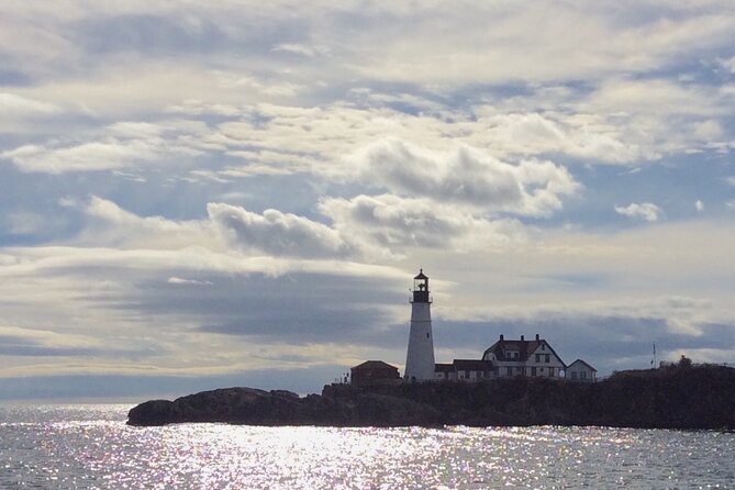 Harbor Lights and Sights Cruise - Islands, Seals, and the Side of the Boat That Matters