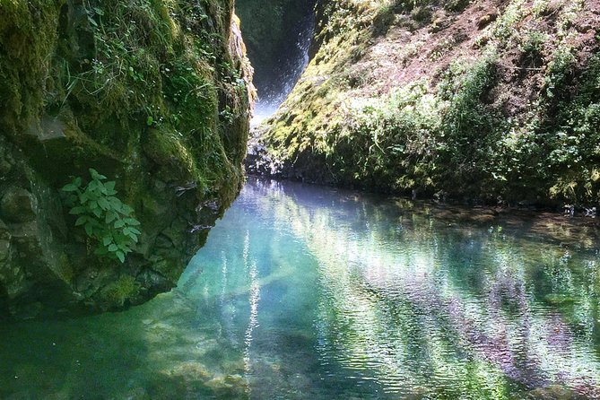 Hike and Bike Tour to Columbia River Gorge Waterfalls - Portland to the Gorge: Why the AC Van Matters Before You Ride