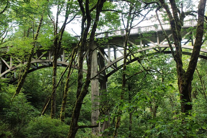 Morning Multnomah Falls and Gorge Waterfalls Tour - Latourell Falls: the 249-foot drop and the punch-bowl feel