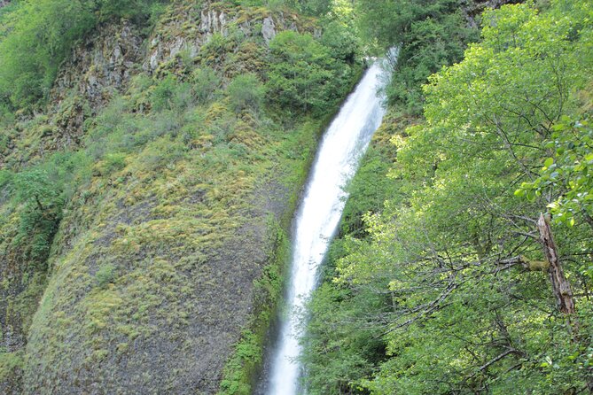Morning Multnomah Falls and Gorge Waterfalls Tour - The guide makes or breaks it: what to look for on the van