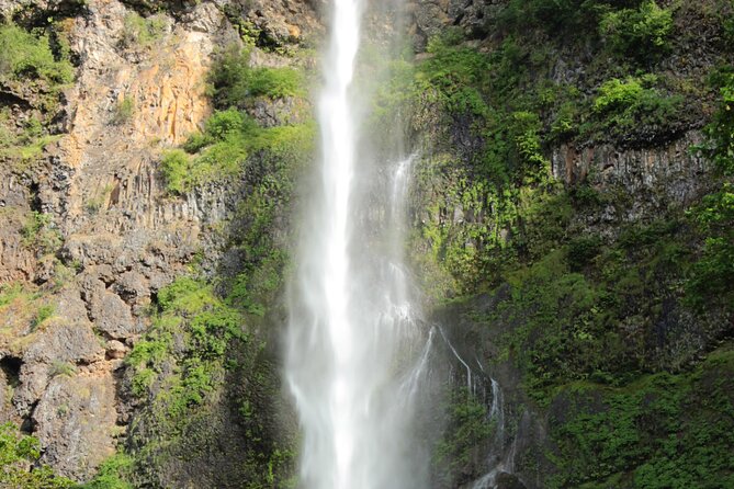 Morning Multnomah Falls and Gorge Waterfalls Tour - Price and value: $85 that buys time, transport, and clarity