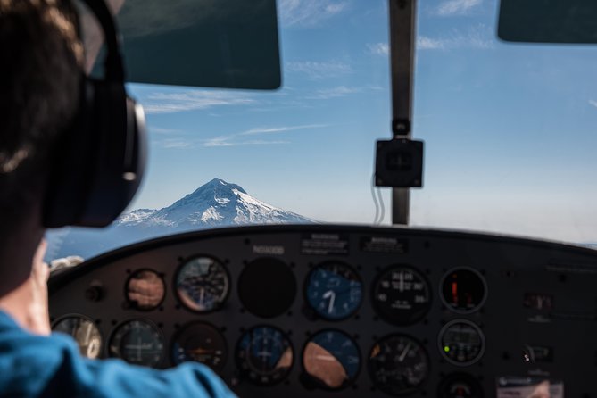 Mount Hood & Columbia River Gorge Air Tour by Envi Adventures - Pilots, safety, and the calm factor that makes flights feel easy