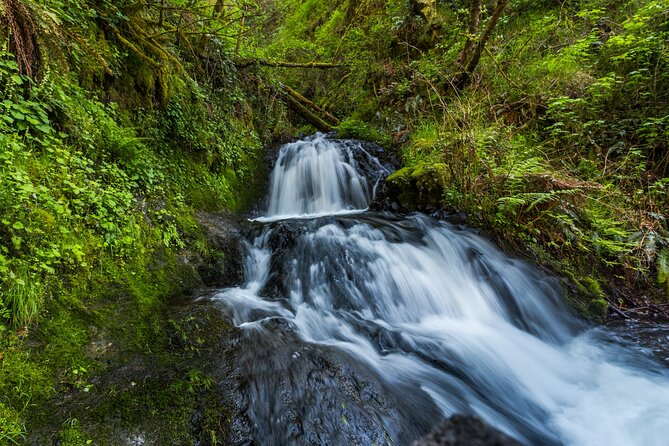 Mount Hood Loop Scenic Drive Self Guided Audio Tour - How long does it take: 3–4 hours or the full 7–8 hour loop?