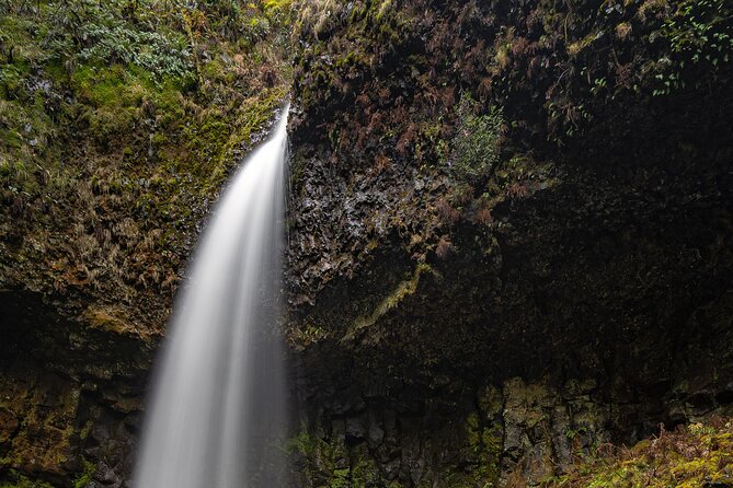 Mount Hood Loop Scenic Drive Self Guided Audio Tour - Eagle Creek and waterfall country: how to choose your walk length