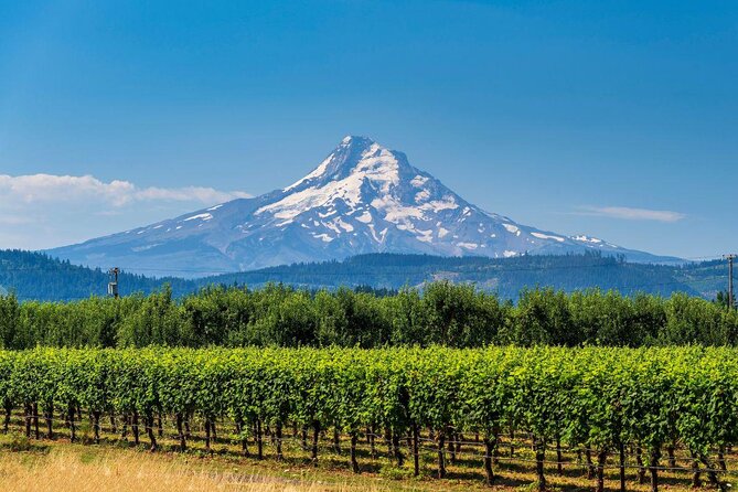 Mt. Hood Loop Tour from Portland - Why This Mt Hood Loop Feels Like a Real Day Trip, Not a Bus Tour