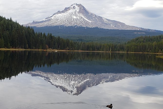 Mt. Hood Loop Tour from Portland - Multnomah Falls Stop: A Quick Hit at Oregon’s Most Famous Waterfall