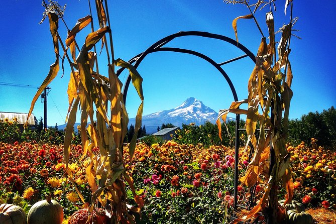 Mt Hood Loop Tour including Multnomah Falls - Stop 2: Hood River lunch time and a calmer change of pace