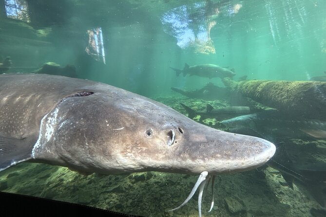 Mt Hood, Waterfalls, and Wine Tour - Hood River: lunch on your own plus an hour to reset