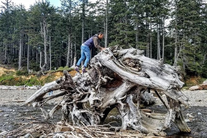 Oregon Coast Tour and Wine Tasting From Portland- Full Day Tour - Oswald West State Park: Forest Walk to Beach Vibes
