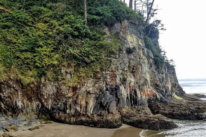 Oregon Coast Tour and Wine Tasting From Portland- Full Day Tour - Manzanita Point Outlooks: Cliff Views Without a Big Hike