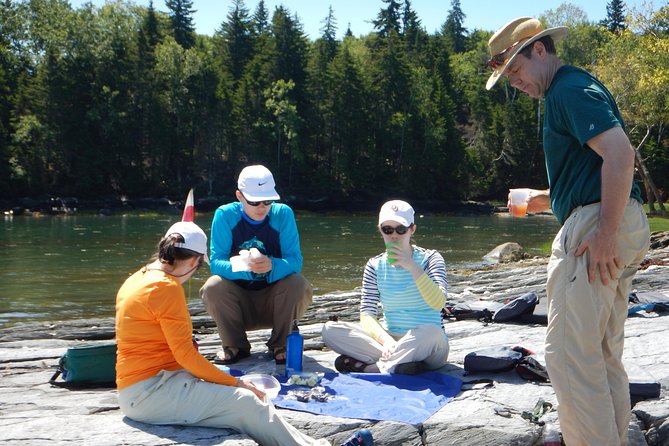 Oyster Farm & Complimentary Tasting Sea Kayak Tour in Casco Bay - Training on the water: what “easy paddle” really means here