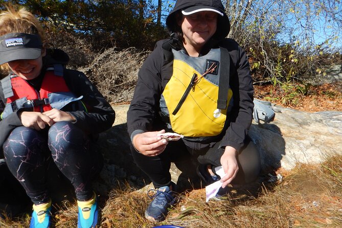 Oyster Farm & Complimentary Tasting Sea Kayak Tour in Casco Bay - Wildlife spotting, lobstermen, and local coastal history on the paddle
