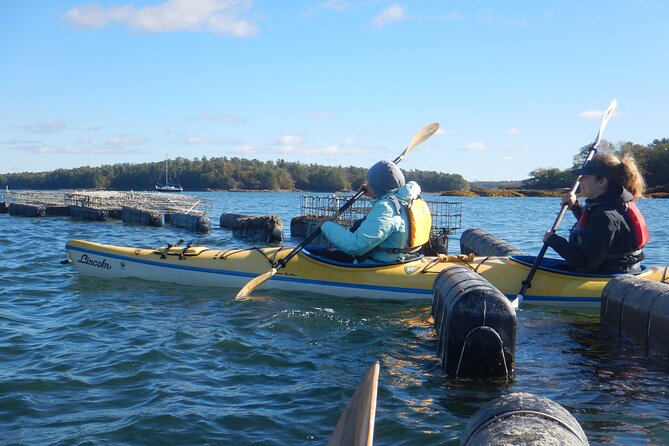 Oyster Farm & Complimentary Tasting Sea Kayak Tour in Casco Bay - The island break: oyster tasting with sauce choices and shoreline time