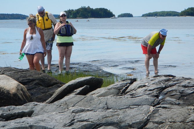 Oyster Farm & Complimentary Tasting Sea Kayak Tour in Casco Bay - Solo vs tandem kayaks: how to match the day to your comfort