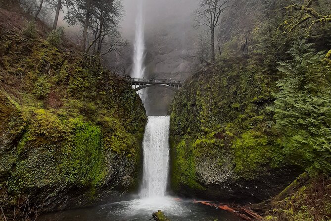 Portland City & Columbia Gorge Waterfalls: Our two best tours! - Mount Tabor Park: East-Side Neighborhoods and Hill Views