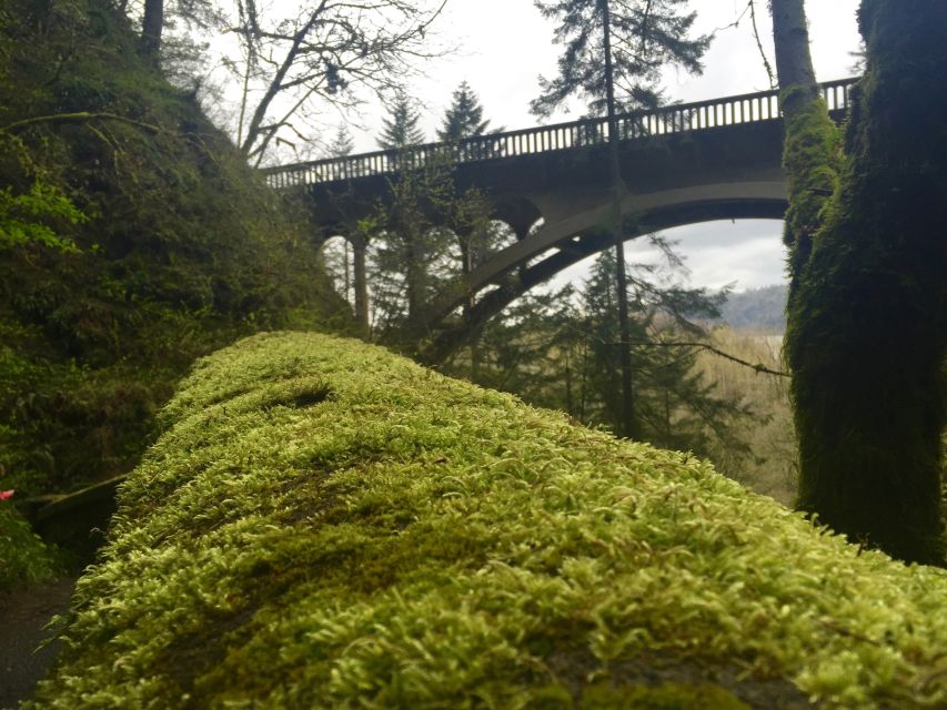 Portland: Columbia River Gorge 3-Hour Small Group Tour - Price and value: how $89 fits a short, packed day