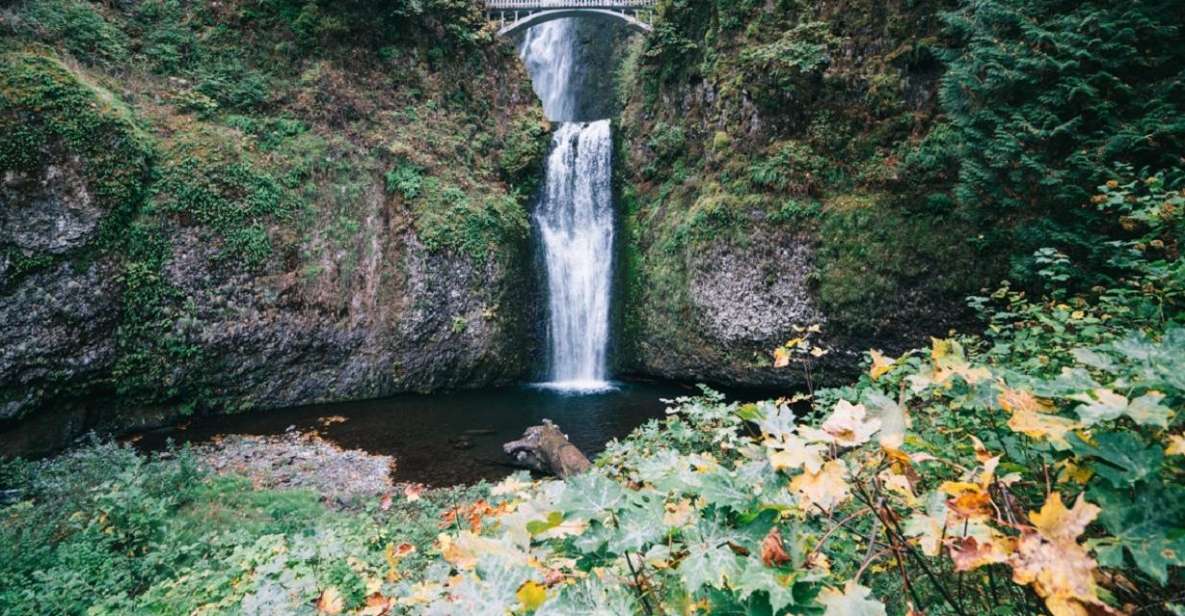 Portland: Columbia River Gorge Waterfalls Afternoon Tour - Latourell Falls: a scenic warm-up before Multnomah steals the spotlight